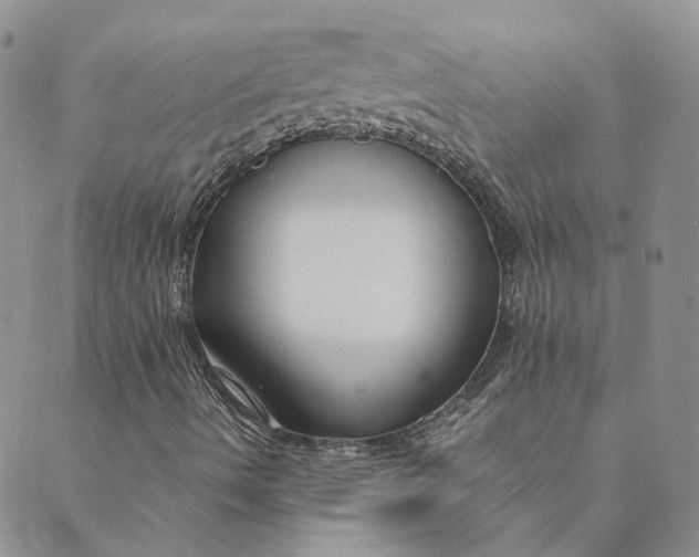 X0000089361490200707061036