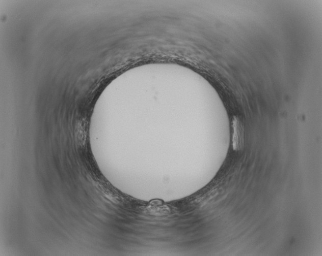 X0000089361491200707061036