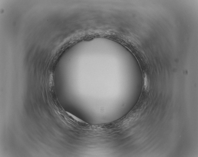 X0000089361492200707061036