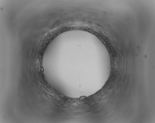 X0000089361493200707061036