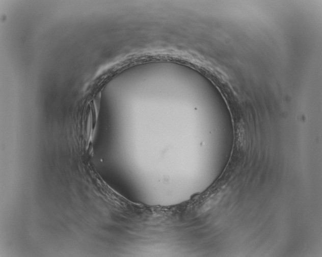 X0000089361494200707061036