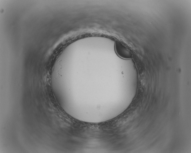 X0000089361495200707061036