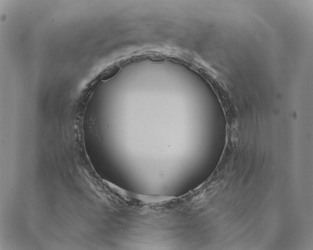 X0000089361496200707061036