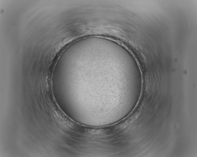 X0000089361497200707061036