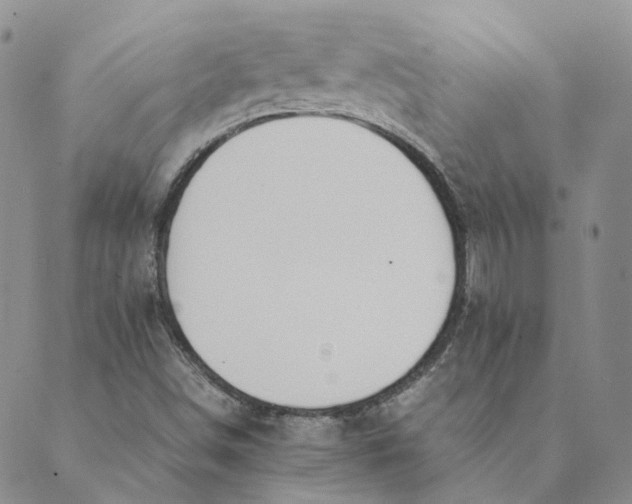 X0000089361498200707061036