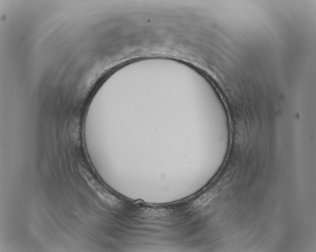 X0000089361499200707061036