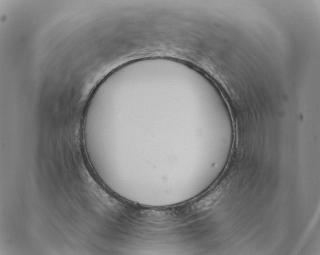 X0000089361500200707061036