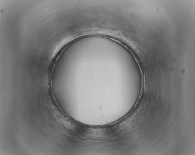 X0000089361501200707061036