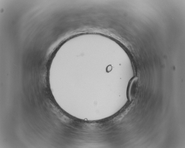 X0000089361502200707061036