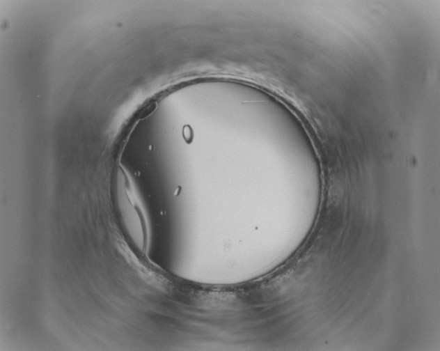 X0000089361503200707061036