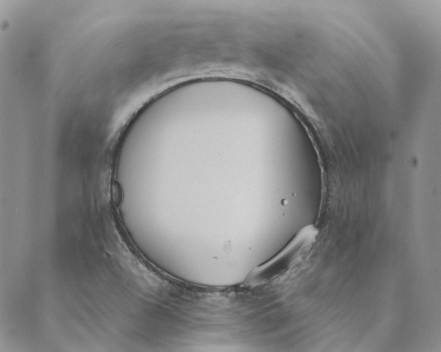 X0000089361504200707061036