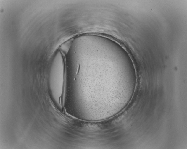 X0000089361505200707061036