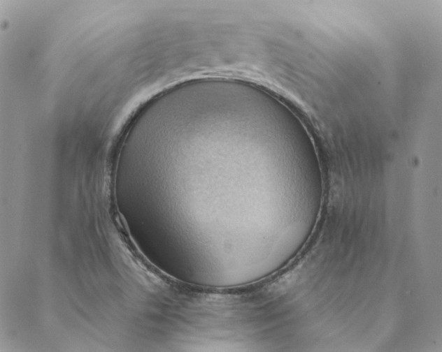 X0000089361506200707061036