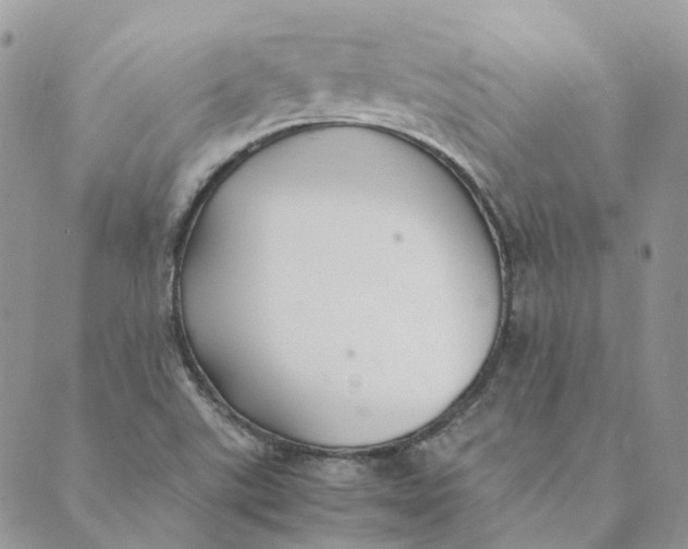 X0000089361507200707061036