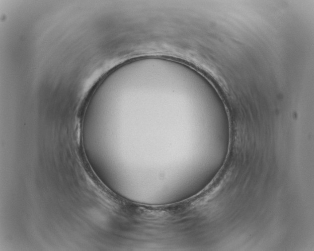 X0000089361509200707061036