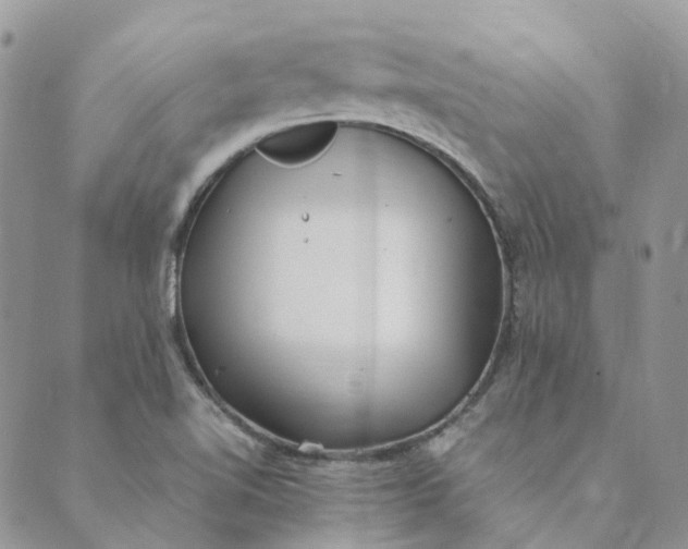 X0000089361510200707061036