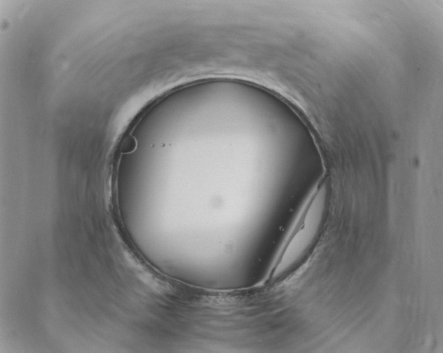 X0000089361511200707061036