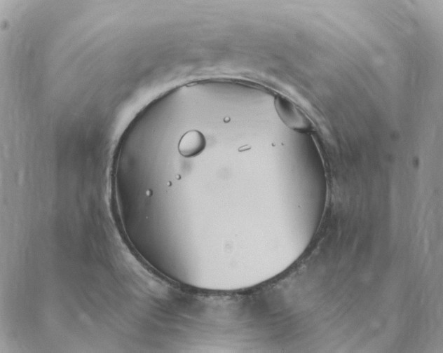 X0000089361512200707061036