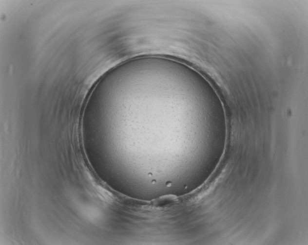 X0000089361513200707061036