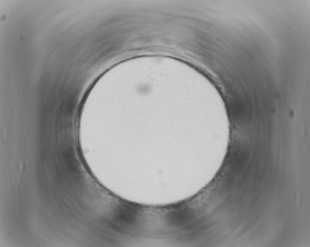 X0000089361514200707061036