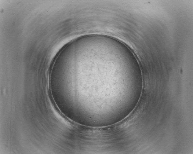 X0000089361515200707061036