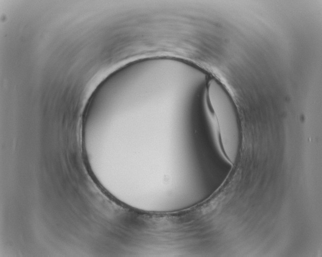 X0000089361516200707061036