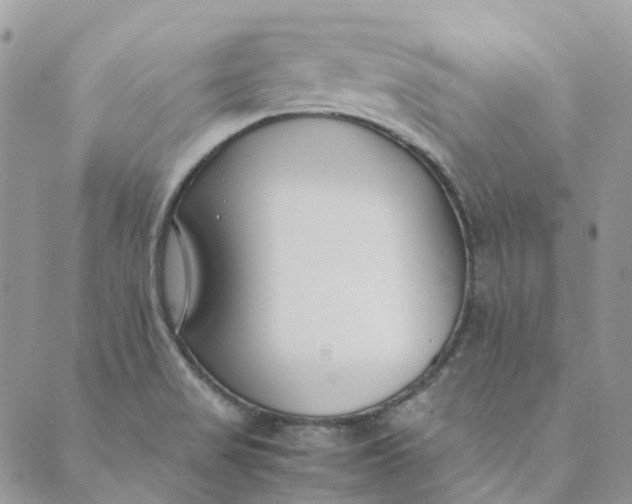 X0000089361517200707061036