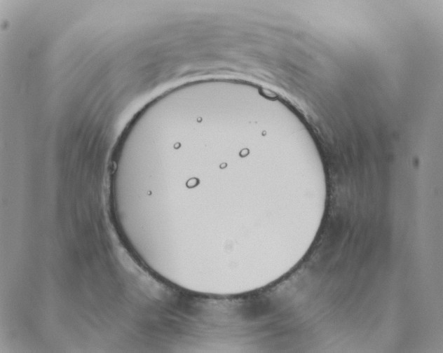 X0000089361518200707061036