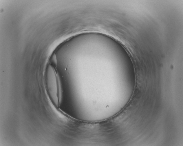 X0000089361519200707061036