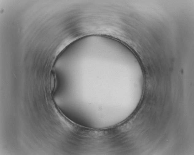 X0000089361521200707061036