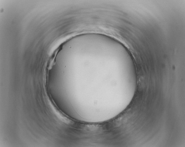 X0000089361523200707061037