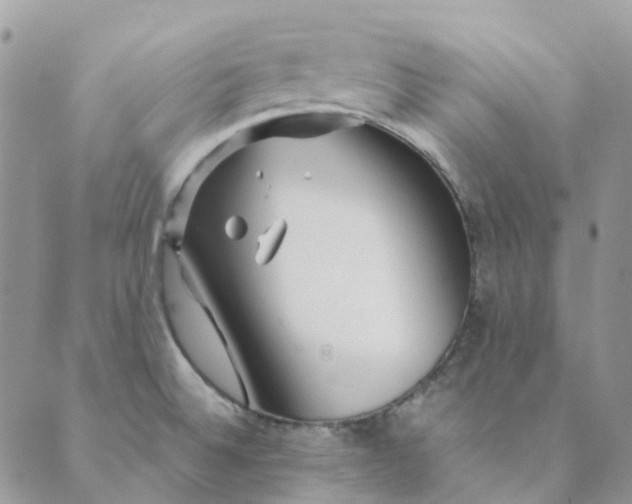 X0000089361524200707061037