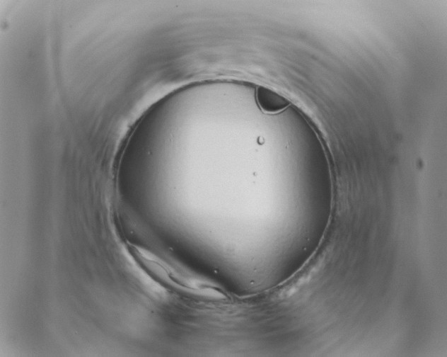 X0000089361525200707061037