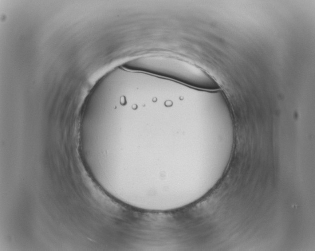 X0000089361526200707061037