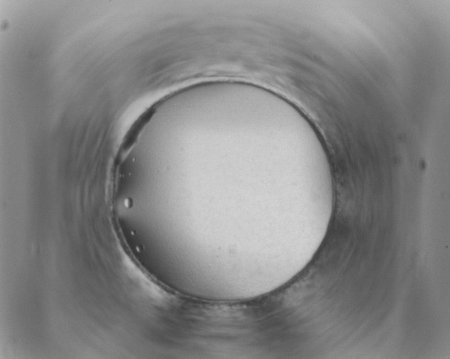 X0000089361527200707061037