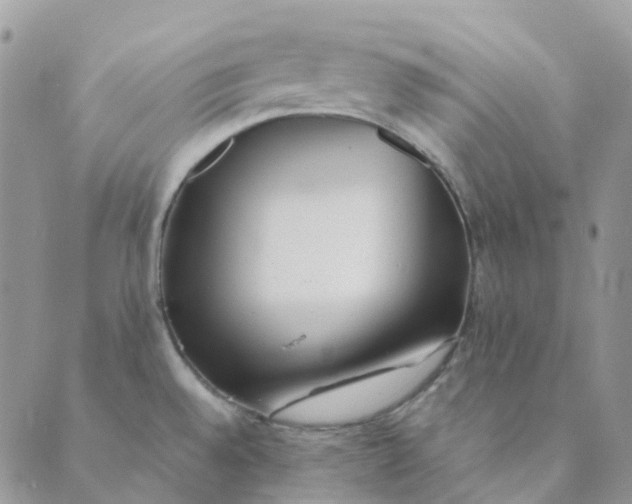 X0000089361528200707061037