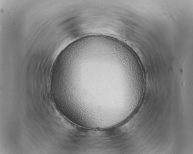 X0000089361529200707061037