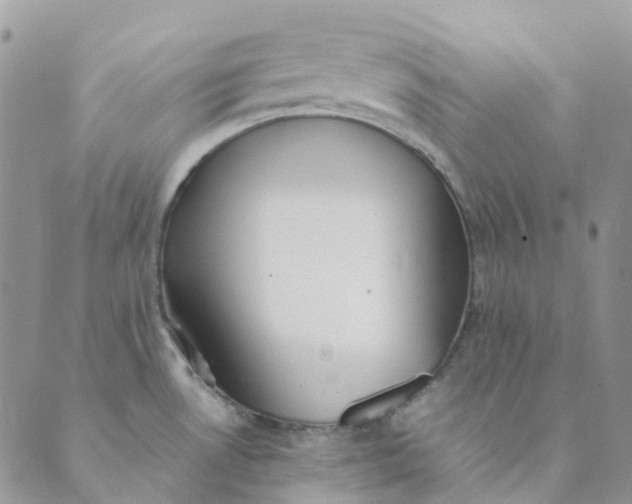 X0000089361530200707061037