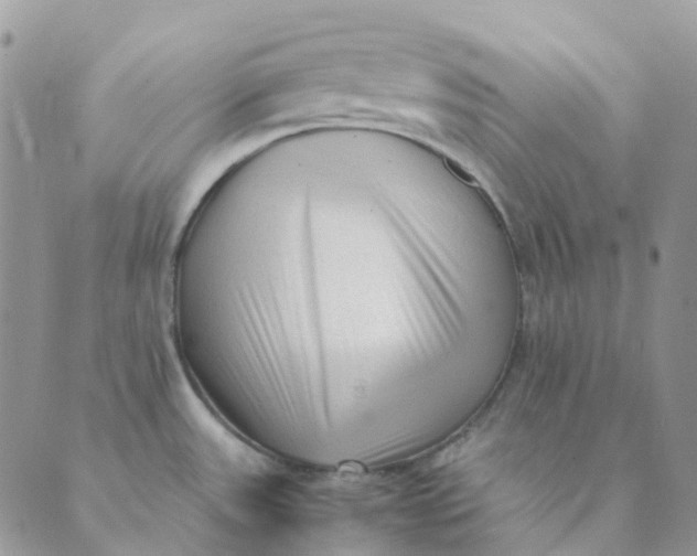 X0000089361531200707061037