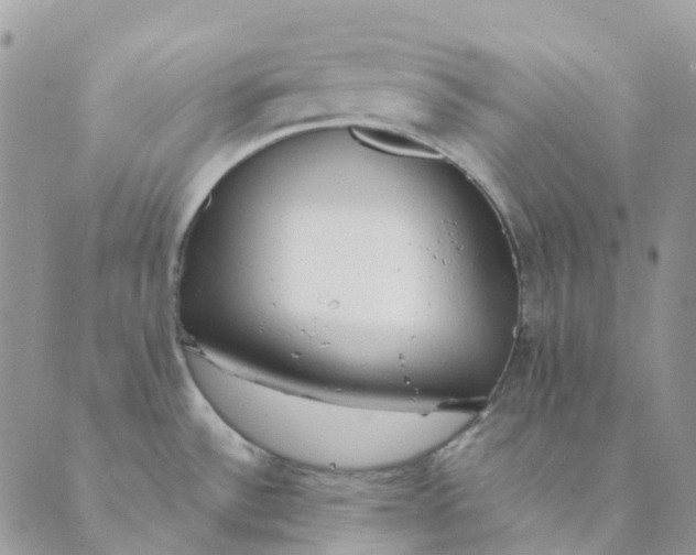 X0000089361532200707061037