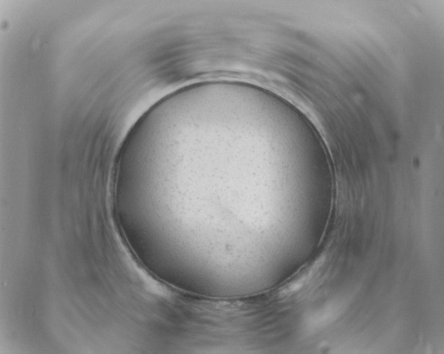 X0000089361533200707061037