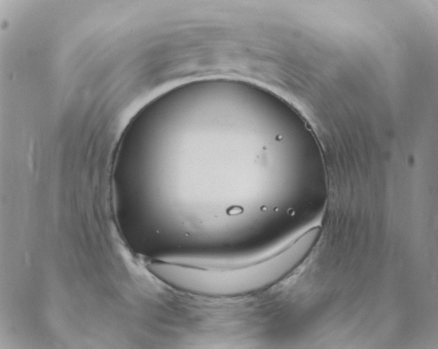 X0000089361534200707061037