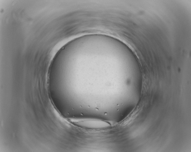 X0000089361535200707061037