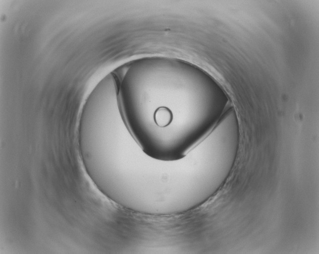 X0000089361536200707061037