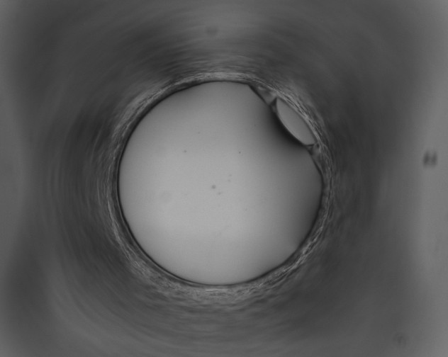 X0000089360001200707131625
