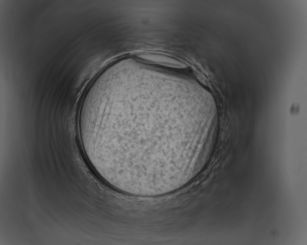 X0000089360002200707131625