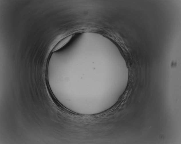 X0000089360003200707131625