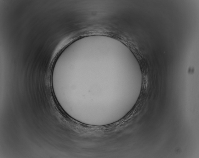 X0000089360004200707131625