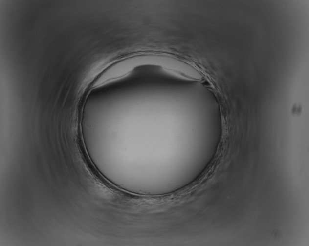 X0000089360005200707131625