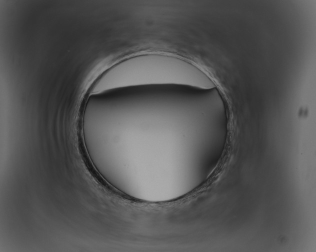 X0000089360007200707131625